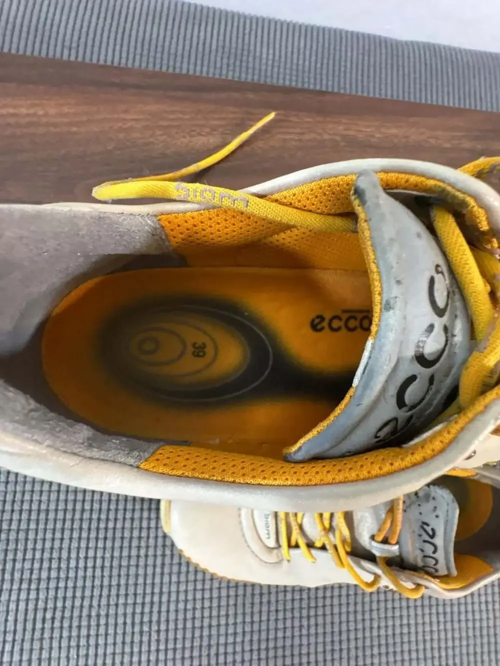 Ecco biom g2